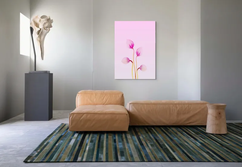 Tablou Canvas, "Corole roz spre lumina dimineții", Floare, Grație, Delicatețe, Pastel, Subtilitate, Artă, Natură, Simplitate, 70 x 100 cm – poza 7