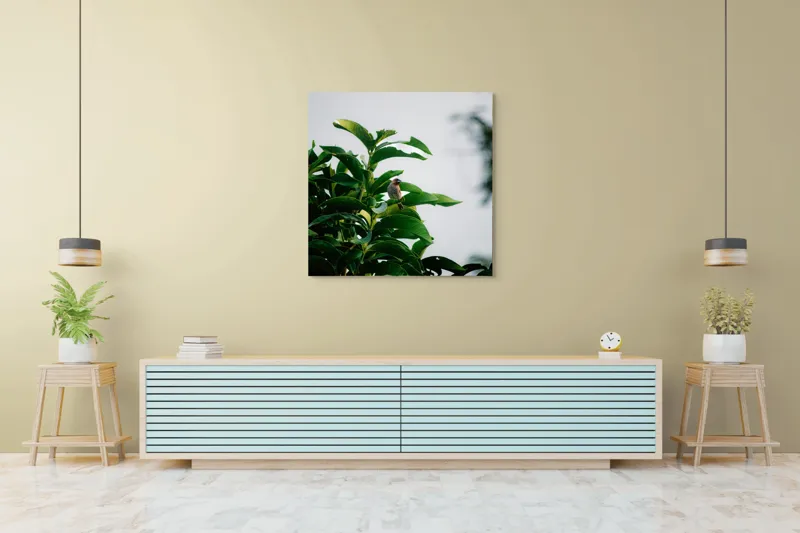Tablou Canvas, "Pasărea singuratică pe ramura verde", Frunziș, Pasăre, Cer, Natural, Verde, Lucios, Solitar, Răsărit, Libertate, Armonie, 100 x 100 cm – poza 5