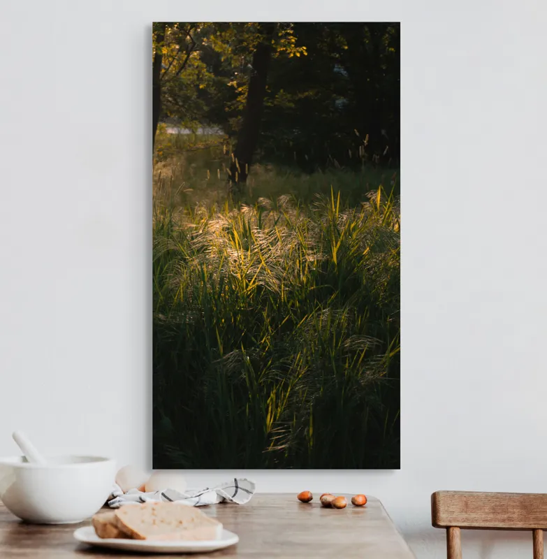 Tablou Canvas, "Lumina soarelui prin iarba verde", Natură, Lumină, Iarbă, Umbre, Seară, Copaci, Pădure, Strălucire, 50 x 90 cm – poza 3