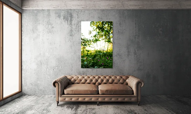 Tablou Canvas, "Flori albe în lumină de vară", Flori, Soare, Natură, Verdeață, Luminozitate, Delicatețe, Încântare, Frumusețe, 100 x 150 cm – poza 6