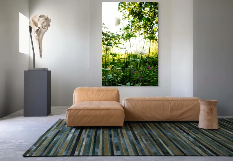 Tablou Canvas, "Flori albe în lumină de vară", Flori, Soare, Natură, Verdeață, Luminozitate, Delicatețe, Încântare, Frumusețe, 100 x 150 cm – poza 7