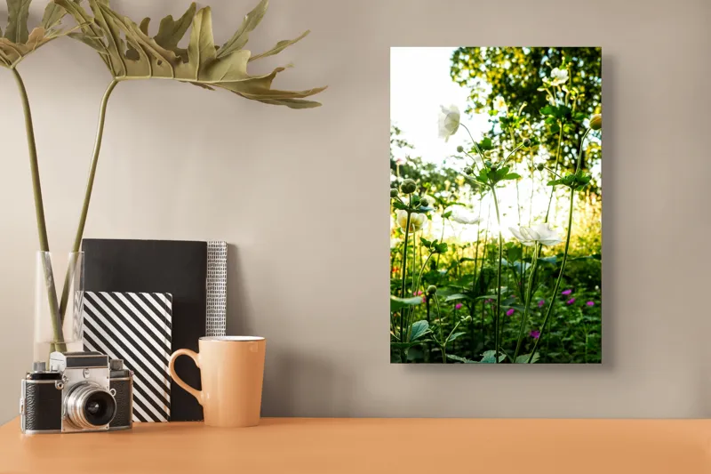 Tablou Canvas, "Flori albe în lumină de vară", Flori, Soare, Natură, Verdeață, Luminozitate, Delicatețe, Încântare, Frumusețe, 26 x 39 cm – poza 3