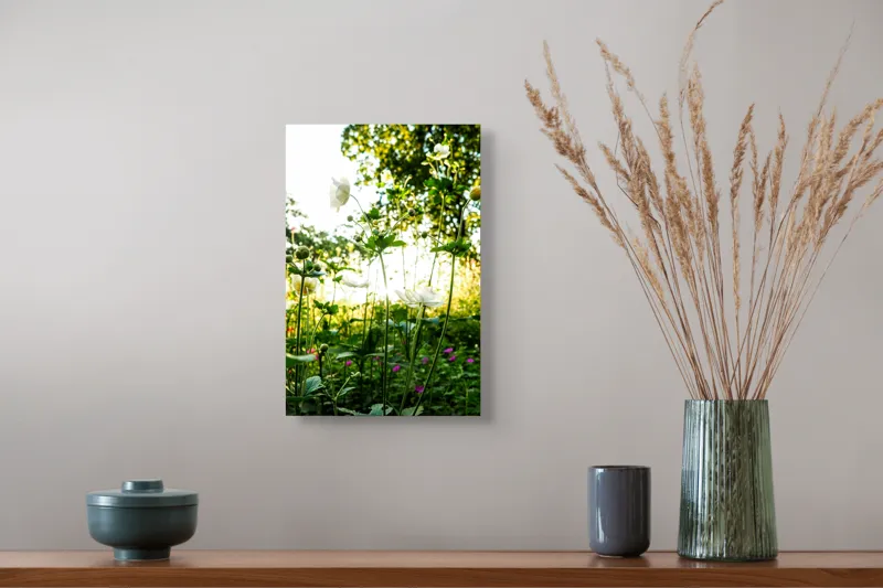 Tablou Canvas, "Flori albe în lumină de vară", Flori, Soare, Natură, Verdeață, Luminozitate, Delicatețe, Încântare, Frumusețe, 26 x 39 cm – poza 5