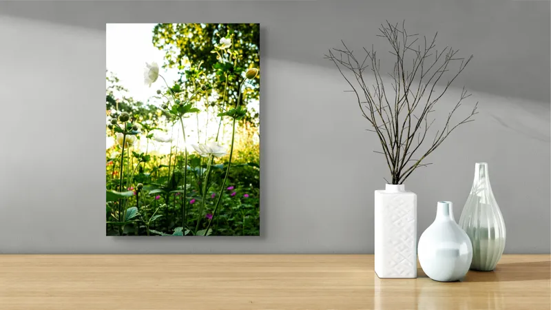 Tablou Canvas, "Flori albe în lumină de vară", Flori, Soare, Natură, Verdeață, Luminozitate, Delicatețe, Încântare, Frumusețe, 39 x 54 cm – poza 4