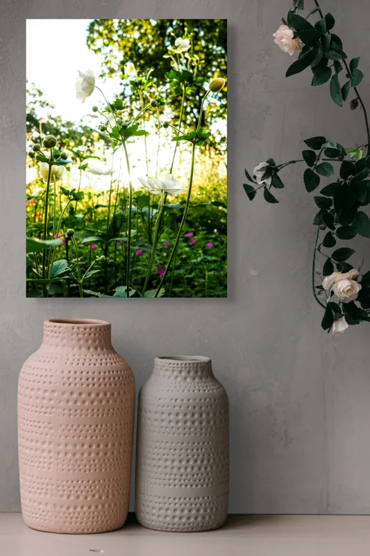 Tablou Canvas, "Flori albe în lumină de vară", Flori, Soare, Natură, Verdeață, Luminozitate, Delicatețe, Încântare, Frumusețe, 39 x 54 cm – poza 6