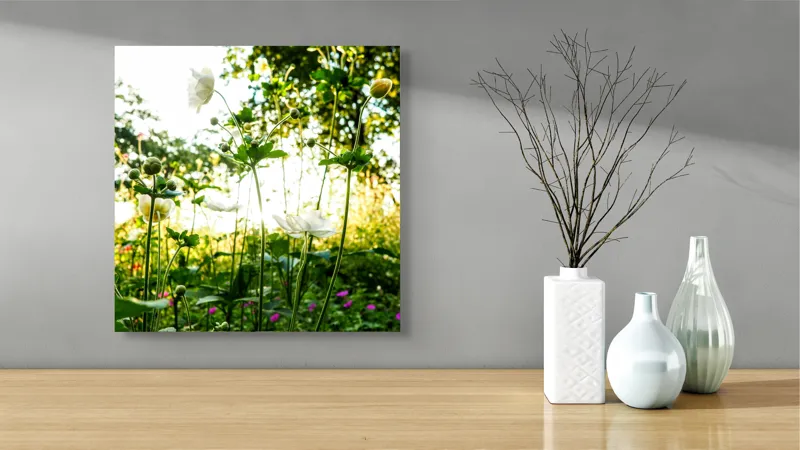 Tablou Canvas, "Flori albe în lumină de vară", Flori, Soare, Natură, Verdeață, Luminozitate, Delicatețe, Încântare, Frumusețe, 50 x 50 cm – poza 3