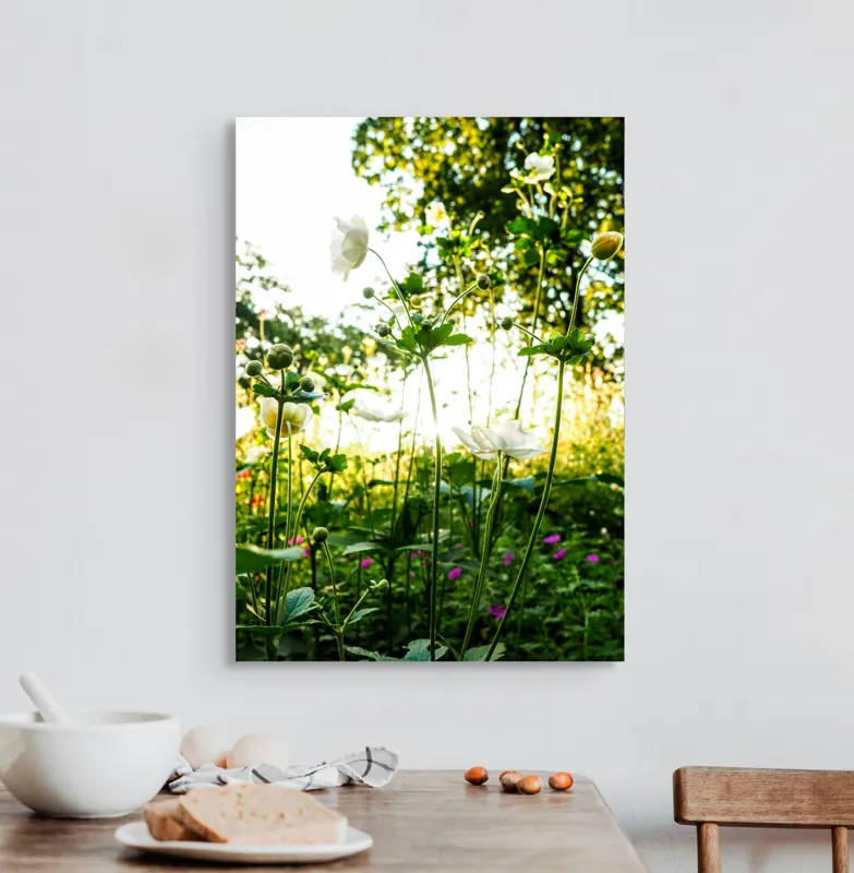 Tablou Canvas, "Flori albe în lumină de vară", Flori, Soare, Natură, Verdeață, Luminozitate, Delicatețe, Încântare, Frumusețe, 50 x 70 cm – poza 3