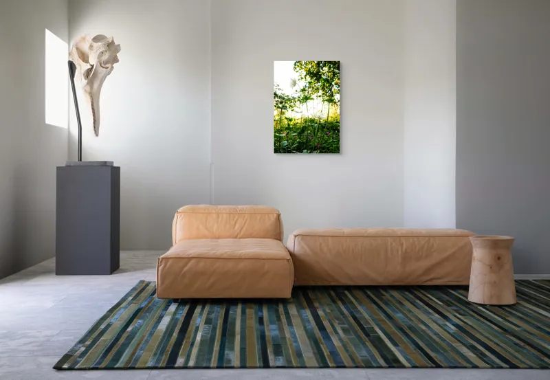 Tablou Canvas, "Flori albe în lumină de vară", Flori, Soare, Natură, Verdeață, Luminozitate, Delicatețe, Încântare, Frumusețe, 50 x 70 cm – poza 7