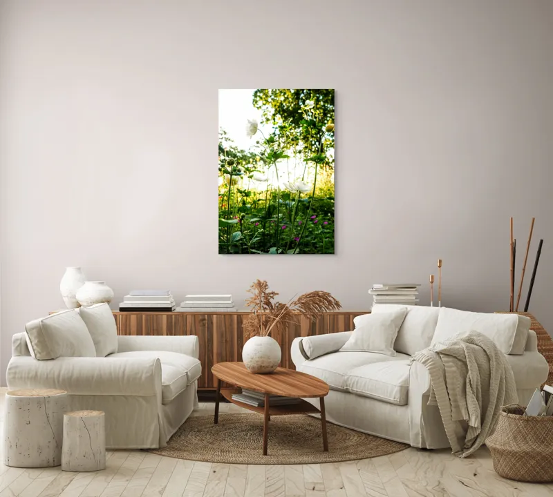 Tablou Canvas, "Flori albe în lumină de vară", Flori, Soare, Natură, Verdeață, Luminozitate, Delicatețe, Încântare, Frumusețe, 70 x 100 cm – poza 4