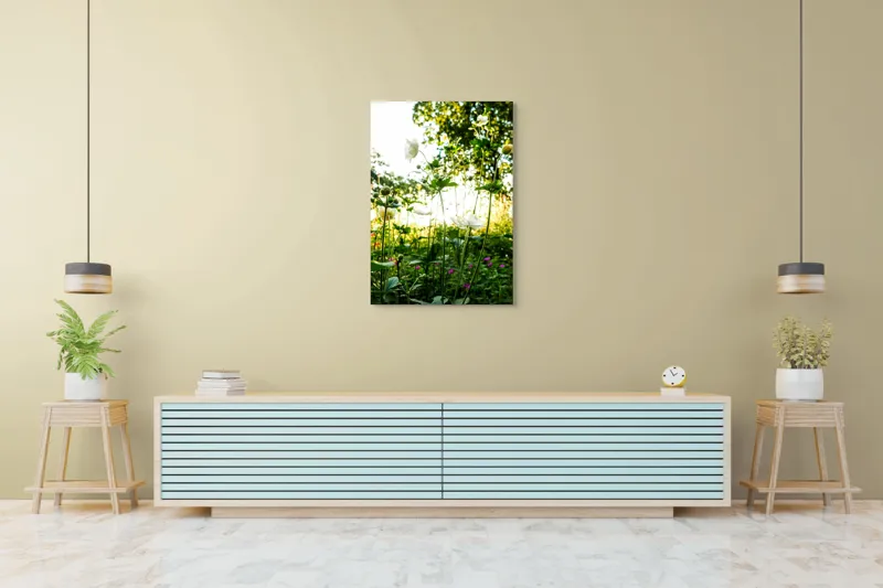 Tablou Canvas, "Flori albe în lumină de vară", Flori, Soare, Natură, Verdeață, Luminozitate, Delicatețe, Încântare, Frumusețe, 70 x 100 cm – poza 5