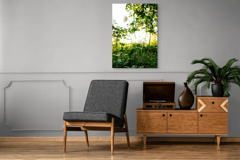 Tablou Canvas, "Flori albe în lumină de vară", Flori, Soare, Natură, Verdeață, Luminozitate, Delicatețe, Încântare, Frumusețe, 70 x 100 cm – poza 6