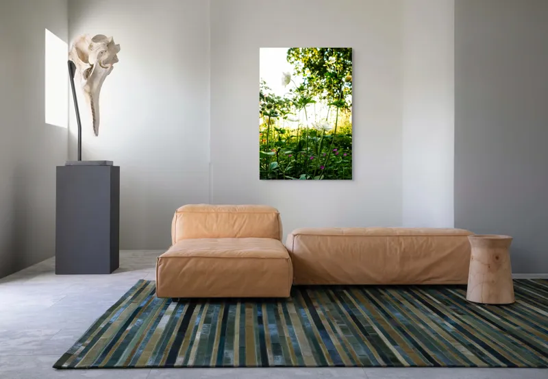 Tablou Canvas, "Flori albe în lumină de vară", Flori, Soare, Natură, Verdeață, Luminozitate, Delicatețe, Încântare, Frumusețe, 70 x 100 cm – poza 7