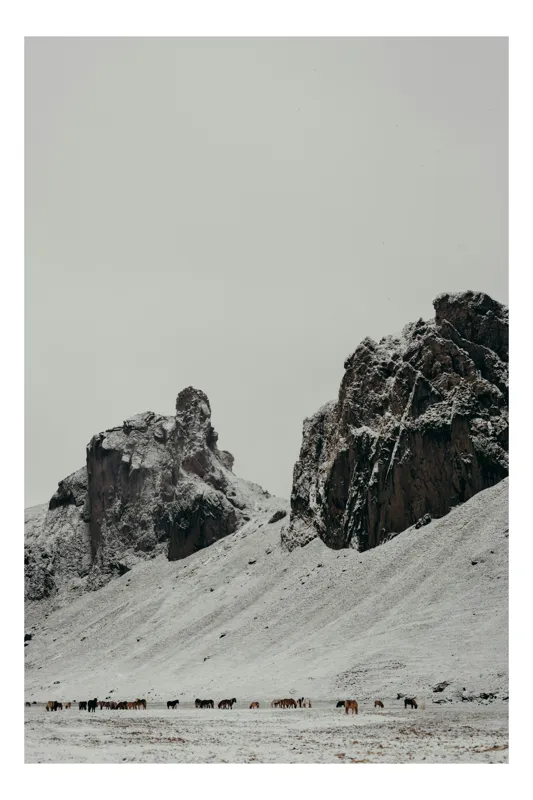 Tablou Canvas, "Turmă de cai în peisaj montan înghețat", Cai, Munți, Zăpadă, Cer, Pășune, Stânci, Iarnă, Natură, Peisaj, Liniște, 100 x 150 cm