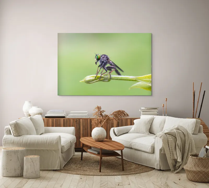Tablou Canvas, "O muscă poposită pe lujer verde", Întins, Verde, Fragil, Insectă, Delicat, Echilibru, Microscopic, Zvelt, Natură, Lumină, 150 x 100 cm – poza 3