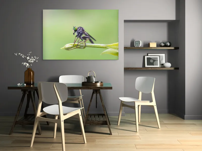 Tablou Canvas, "O muscă poposită pe lujer verde", Întins, Verde, Fragil, Insectă, Delicat, Echilibru, Microscopic, Zvelt, Natură, Lumină, 150 x 100 cm – poza 5