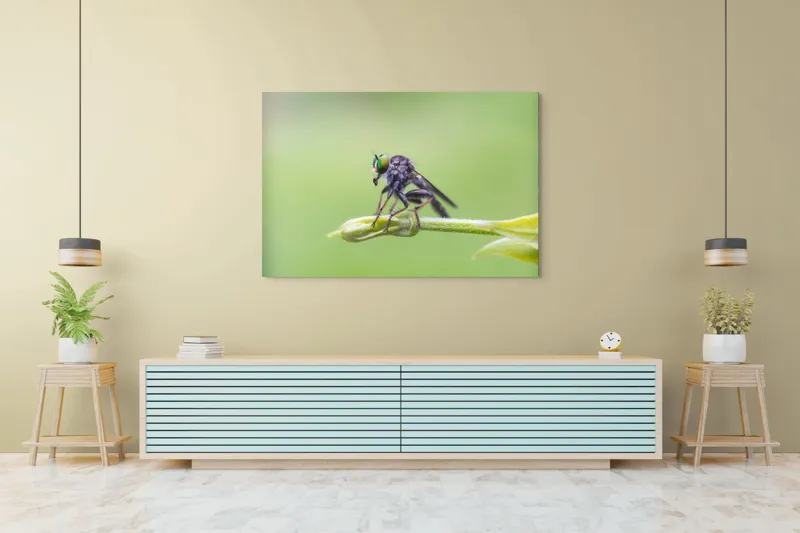Tablou Canvas, "O muscă poposită pe lujer verde", Întins, Verde, Fragil, Insectă, Delicat, Echilibru, Microscopic, Zvelt, Natură, Lumină, 150 x 100 cm – poza 6