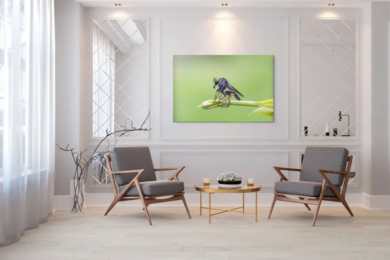Tablou Canvas, "O muscă poposită pe lujer verde", Întins, Verde, Fragil, Insectă, Delicat, Echilibru, Microscopic, Zvelt, Natură, Lumină, 150 x 100 cm – poza 7