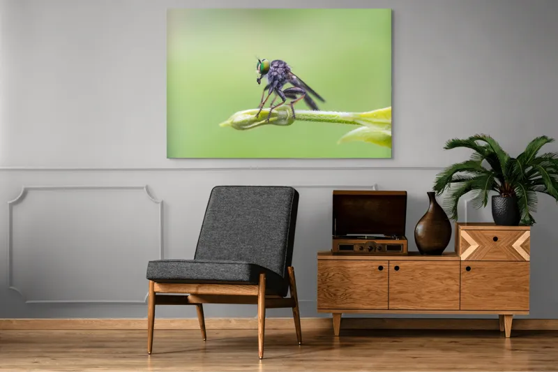 Tablou Canvas, "O muscă poposită pe lujer verde", Întins, Verde, Fragil, Insectă, Delicat, Echilibru, Microscopic, Zvelt, Natură, Lumină, 150 x 100 cm – poza 8