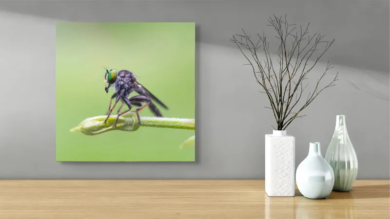 Tablou Canvas, "O muscă poposită pe lujer verde", Întins, Verde, Fragil, Insectă, Delicat, Echilibru, Microscopic, Zvelt, Natură, Lumină, 50 x 50 cm – poza 3
