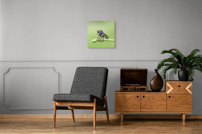 Tablou Canvas, "O muscă poposită pe lujer verde", Întins, Verde, Fragil, Insectă, Delicat, Echilibru, Microscopic, Zvelt, Natură, Lumină, 50 x 50 cm – poza 6