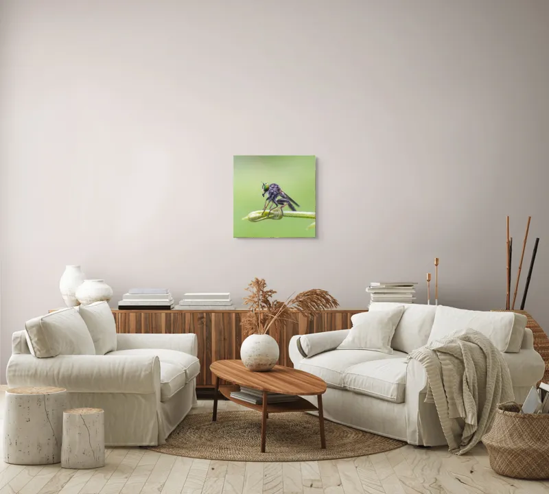 Tablou Canvas, "O muscă poposită pe lujer verde", Întins, Verde, Fragil, Insectă, Delicat, Echilibru, Microscopic, Zvelt, Natură, Lumină, 50 x 50 cm – poza 7