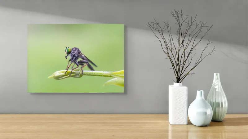 Tablou Canvas, "O muscă poposită pe lujer verde", Întins, Verde, Fragil, Insectă, Delicat, Echilibru, Microscopic, Zvelt, Natură, Lumină, 54 x 39 cm – poza 3