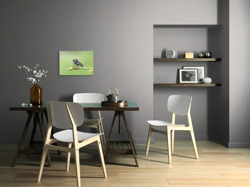 Tablou Canvas, "O muscă poposită pe lujer verde", Întins, Verde, Fragil, Insectă, Delicat, Echilibru, Microscopic, Zvelt, Natură, Lumină, 54 x 39 cm – poza 6