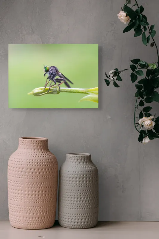 Tablou Canvas, "O muscă poposită pe lujer verde", Întins, Verde, Fragil, Insectă, Delicat, Echilibru, Microscopic, Zvelt, Natură, Lumină, 54 x 39 cm – poza 8