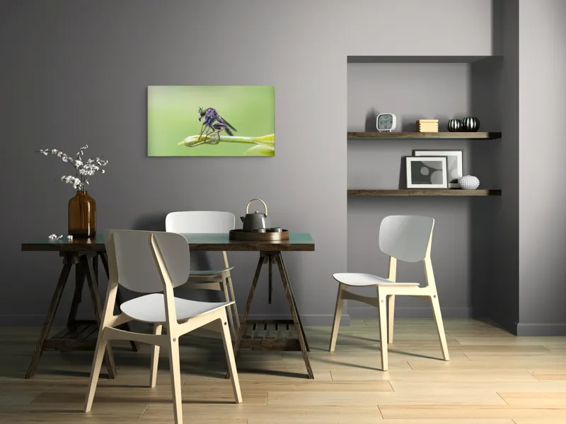 Tablou Canvas, "O muscă poposită pe lujer verde", Întins, Verde, Fragil, Insectă, Delicat, Echilibru, Microscopic, Zvelt, Natură, Lumină, 90 x 50 cm – poza 3