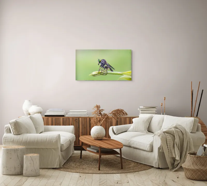 Tablou Canvas, "O muscă poposită pe lujer verde", Întins, Verde, Fragil, Insectă, Delicat, Echilibru, Microscopic, Zvelt, Natură, Lumină, 90 x 50 cm – poza 4