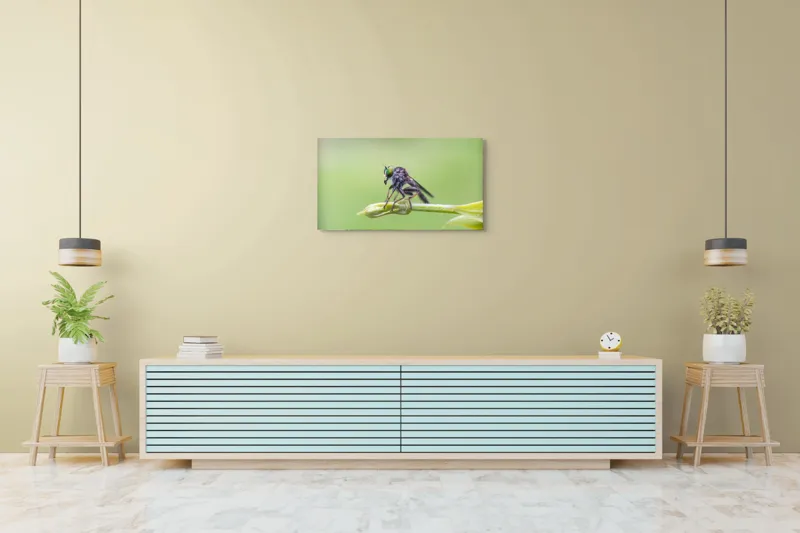Tablou Canvas, "O muscă poposită pe lujer verde", Întins, Verde, Fragil, Insectă, Delicat, Echilibru, Microscopic, Zvelt, Natură, Lumină, 90 x 50 cm – poza 5