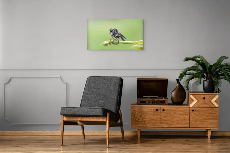 Tablou Canvas, "O muscă poposită pe lujer verde", Întins, Verde, Fragil, Insectă, Delicat, Echilibru, Microscopic, Zvelt, Natură, Lumină, 90 x 50 cm – poza 6