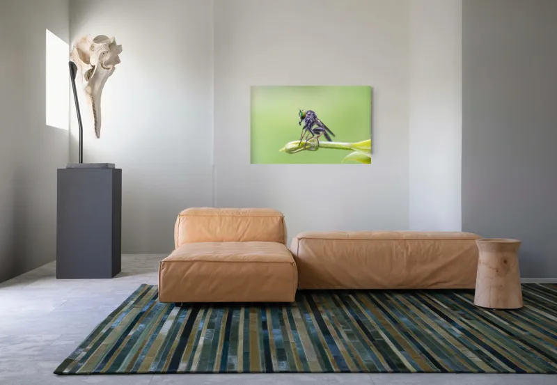 Tablou Canvas, "O muscă poposită pe lujer verde", Întins, Verde, Fragil, Insectă, Delicat, Echilibru, Microscopic, Zvelt, Natură, Lumină, 90 x 50 cm – poza 8