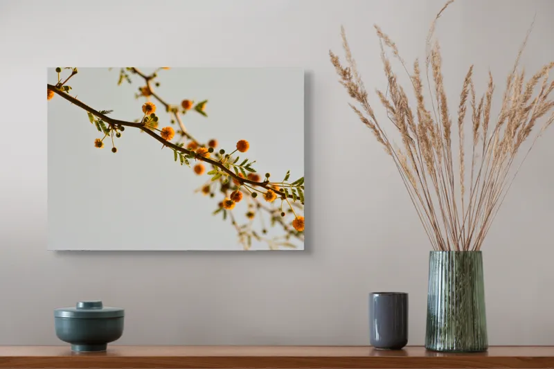 Tablou Canvas, "Crengile delicate ale primăverii târzii", Flori, Ramură, Galben, Frunze, Cer, Primăvară, Natură, Delicat, Lumină, Contrast, 54 x 39 cm – poza 4
