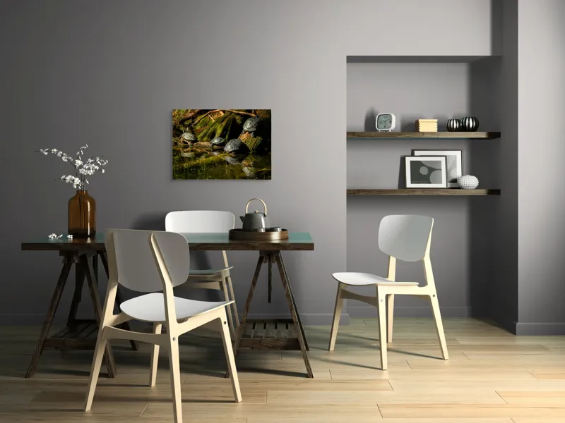 Tablou Canvas, "Broaște țestoase pe malul apei", Tortue, Apă, Lemn, Reflecție, Natură, Verde, Coloană, Soare, Habitat, Sălbăticie, 70 x 50 cm – poza 5