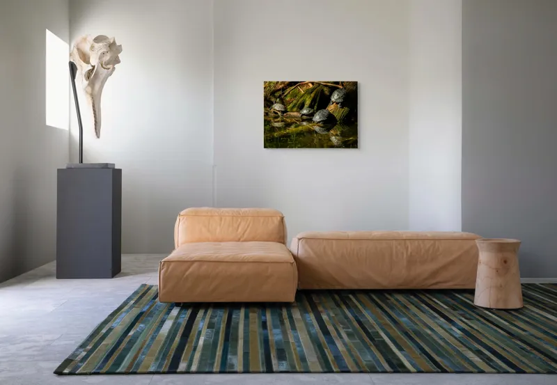 Tablou Canvas, "Broaște țestoase pe malul apei", Tortue, Apă, Lemn, Reflecție, Natură, Verde, Coloană, Soare, Habitat, Sălbăticie, 70 x 50 cm – poza 8