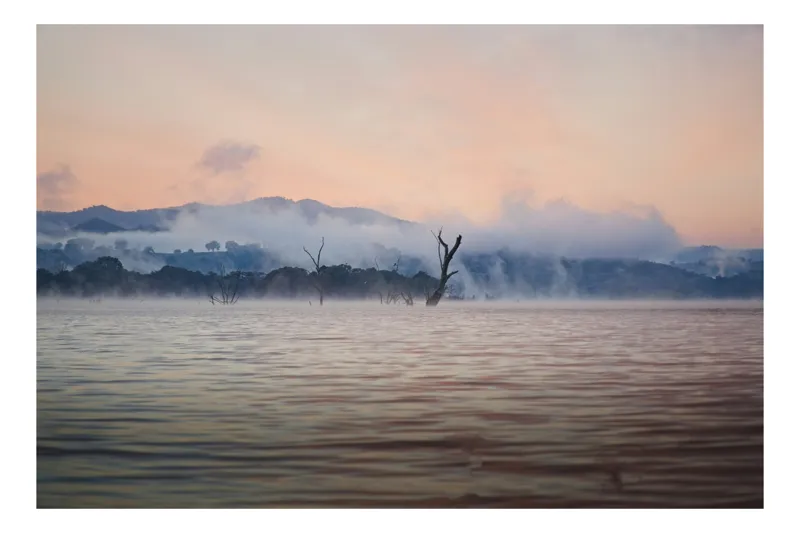 Tablou Canvas, "Copaci singuratici în ceața dimineții", Apa, Ceață, Copaci, Munți, Răsărit, Nor, Reflexie, Liniște, Natură, Întuneric., 39 x 26 cm