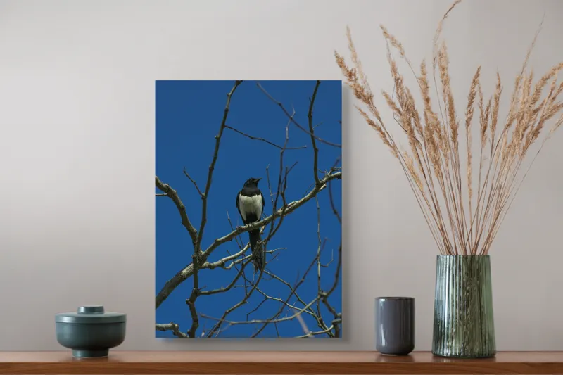Tablou Canvas, "Coțofana între crengi uscate", Pasăre, Creangă, Cer, Albastru, Ramuri, Natură, Zbor, Aripi, Solitudine, Observație, 39 x 54 cm – poza 3