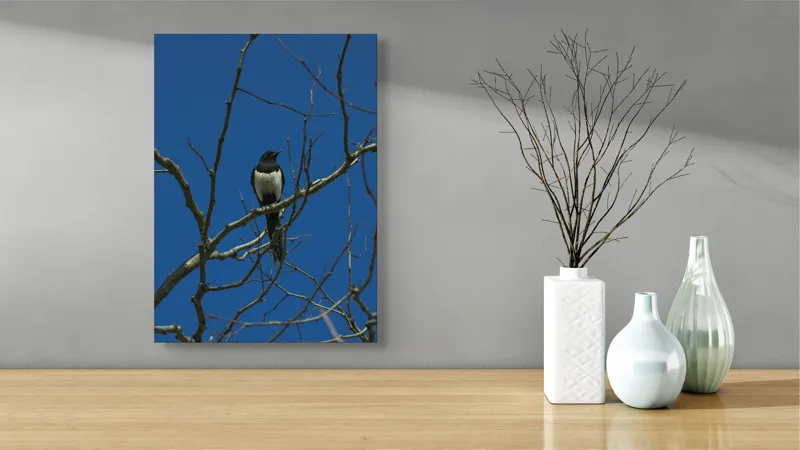 Tablou Canvas, "Coțofana între crengi uscate", Pasăre, Creangă, Cer, Albastru, Ramuri, Natură, Zbor, Aripi, Solitudine, Observație, 39 x 54 cm – poza 4