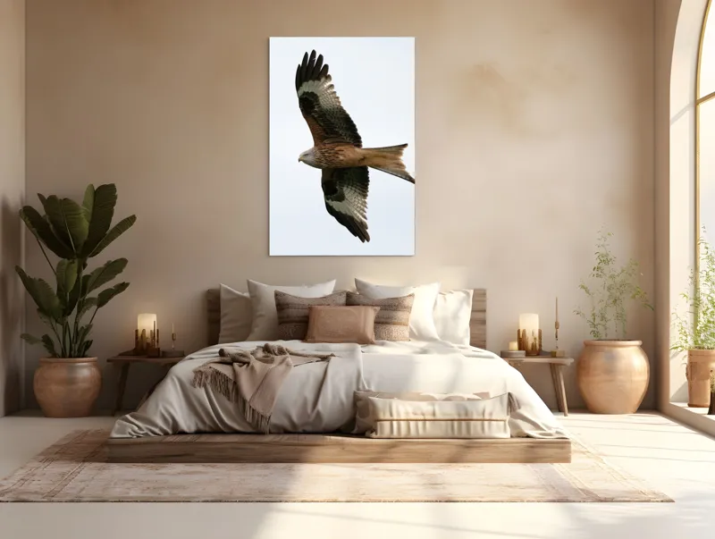 Tablou Canvas, "Zborul majestuos al vulturului pleșuv", Pasăre, Răspândire, Zbor, Aripi, Aer, Cer, Libertate, Natură, 100 x 150 cm – poza 3