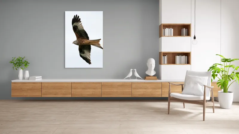 Tablou Canvas, "Zborul majestuos al vulturului pleșuv", Pasăre, Răspândire, Zbor, Aripi, Aer, Cer, Libertate, Natură, 100 x 150 cm – poza 8