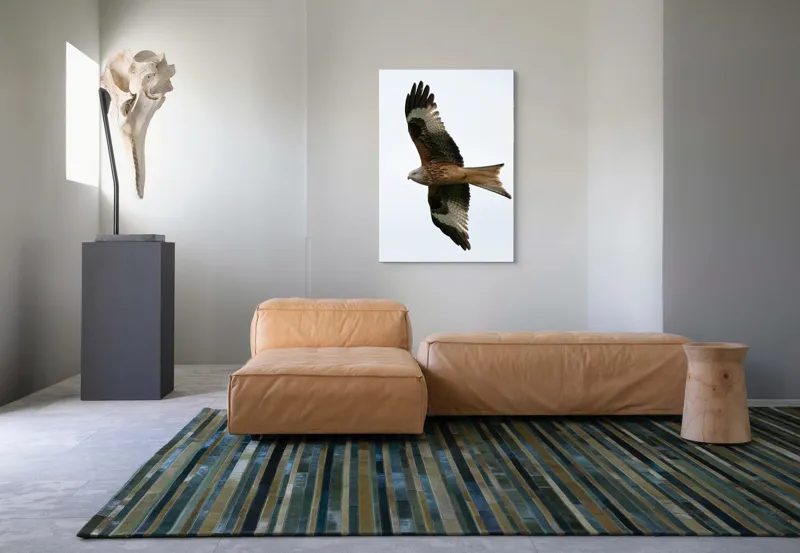 Tablou Canvas, "Zborul majestuos al vulturului pleșuv", Pasăre, Răspândire, Zbor, Aripi, Aer, Cer, Libertate, Natură, 70 x 100 cm – poza 7