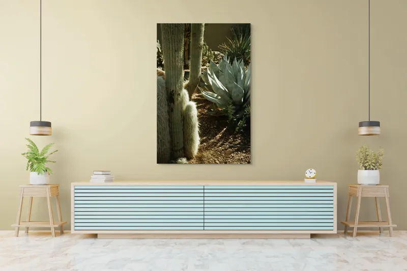 Tablou Canvas, "Cactuși și agave în deșertul arid", Cactus, Agave, Soare, Umbre, Texturi, Desert, Verde, Natural, Peisaj, Arid, 100 x 150 cm – poza 4