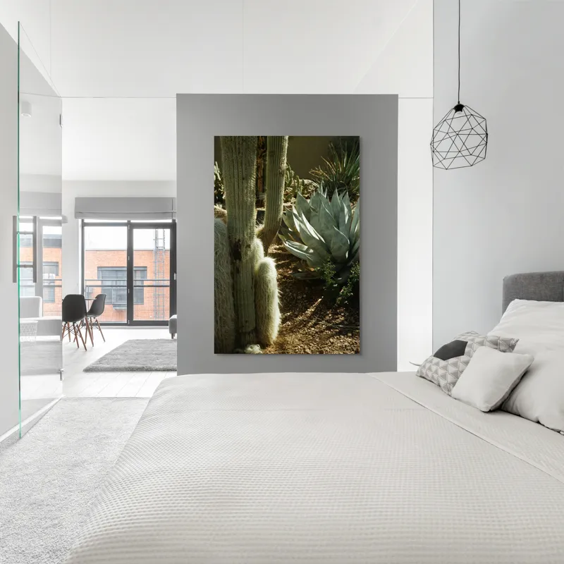 Tablou Canvas, "Cactuși și agave în deșertul arid", Cactus, Agave, Soare, Umbre, Texturi, Desert, Verde, Natural, Peisaj, Arid, 100 x 150 cm – poza 5