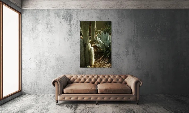 Tablou Canvas, "Cactuși și agave în deșertul arid", Cactus, Agave, Soare, Umbre, Texturi, Desert, Verde, Natural, Peisaj, Arid, 100 x 150 cm – poza 6
