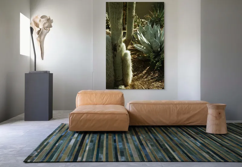 Tablou Canvas, "Cactuși și agave în deșertul arid", Cactus, Agave, Soare, Umbre, Texturi, Desert, Verde, Natural, Peisaj, Arid, 100 x 150 cm – poza 7