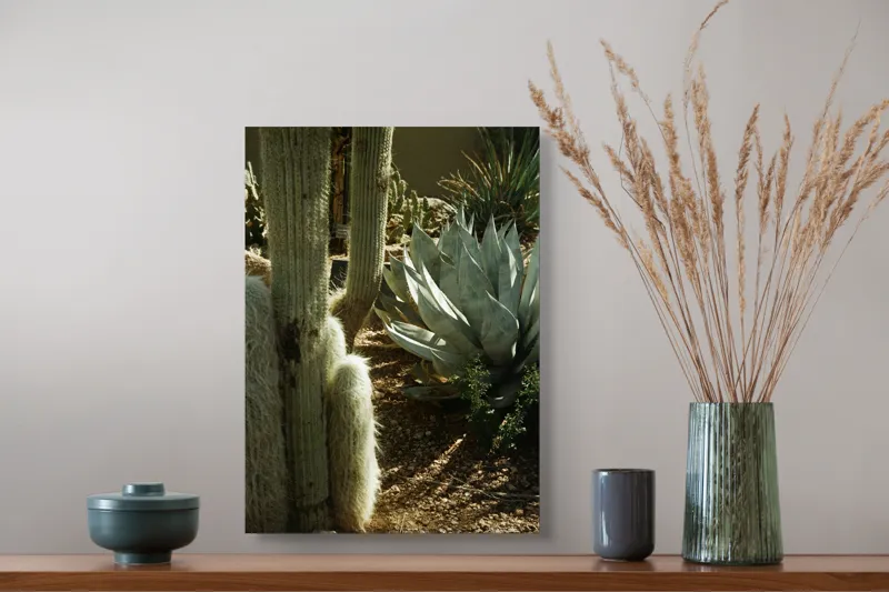 Tablou Canvas, "Cactuși și agave în deșertul arid", Cactus, Agave, Soare, Umbre, Texturi, Desert, Verde, Natural, Peisaj, Arid, 39 x 54 cm – poza 3