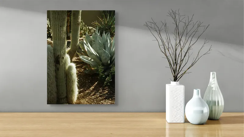 Tablou Canvas, "Cactuși și agave în deșertul arid", Cactus, Agave, Soare, Umbre, Texturi, Desert, Verde, Natural, Peisaj, Arid, 39 x 54 cm – poza 4