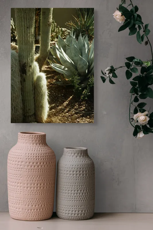 Tablou Canvas, "Cactuși și agave în deșertul arid", Cactus, Agave, Soare, Umbre, Texturi, Desert, Verde, Natural, Peisaj, Arid, 39 x 54 cm – poza 6