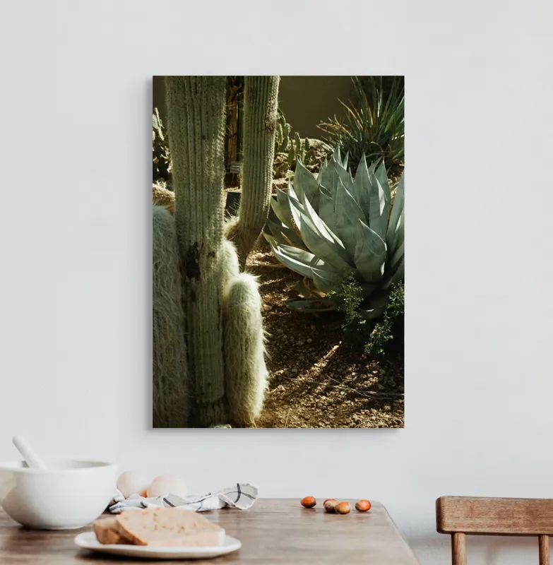 Tablou Canvas, "Cactuși și agave în deșertul arid", Cactus, Agave, Soare, Umbre, Texturi, Desert, Verde, Natural, Peisaj, Arid, 50 x 70 cm – poza 3